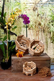 Wooden Baskets &Coco nest Baskets - Better-Gro